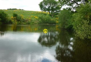  Terrain � vendre 113246 m�