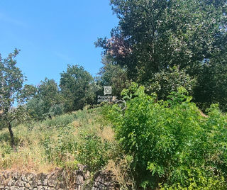  Terrain � vendre 785 m�