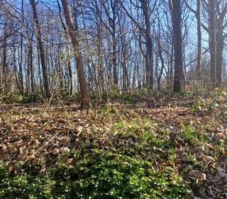  Terrain � vendre 1886 m�