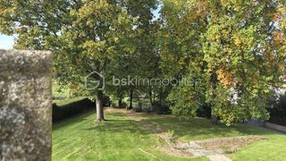  Propri�t�/ch�teau � vendre 12 pi�ces 353 m�