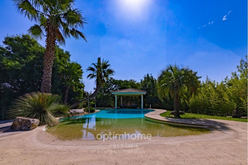 � vendre  Propri�t�/ch�teau Lauret (34270)