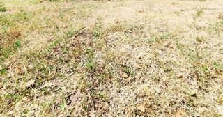  Terrain � vendre 850 m�