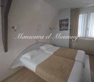  H�tel Particulier � vendre 15 + pi�ces 600 m�