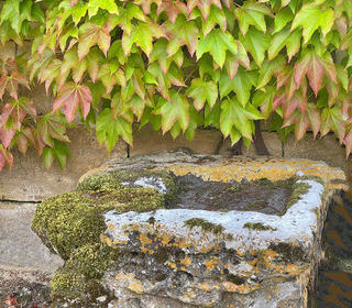  Maison � vendre 10 pi�ces 356 m�