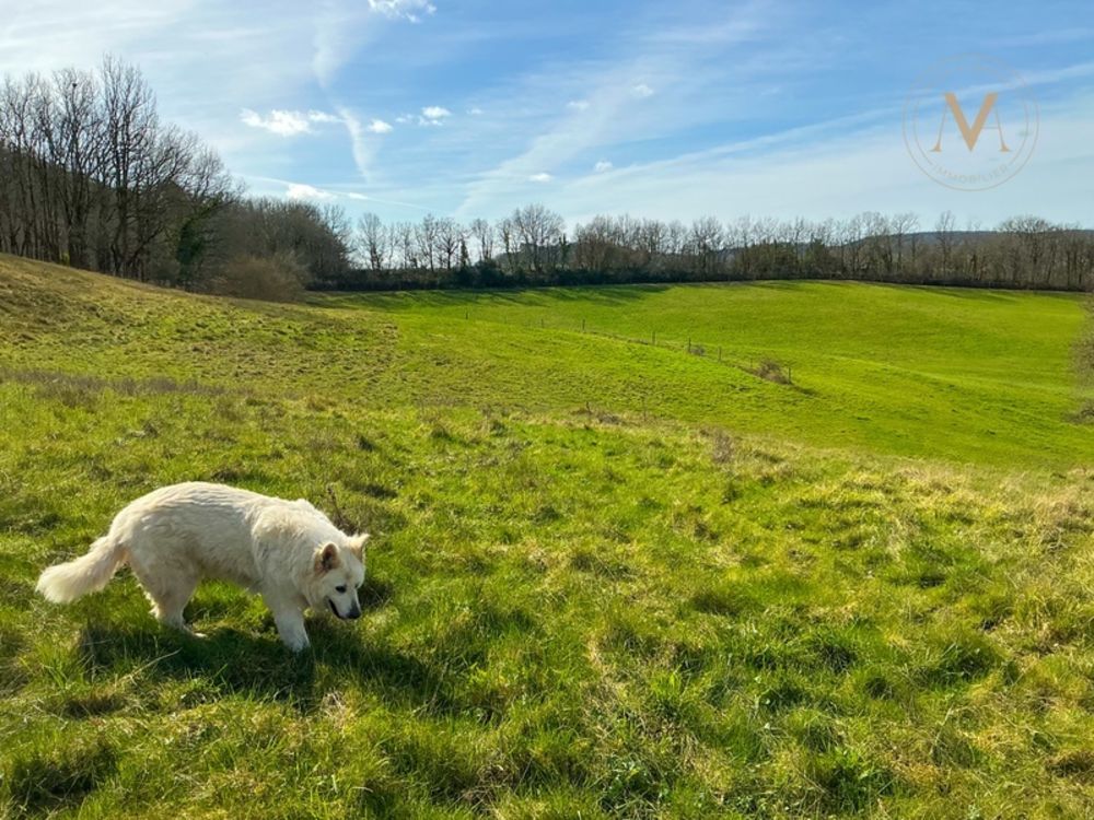 � vendre  Propri�t�/ch�teau Penne-d'Agenais (47140)