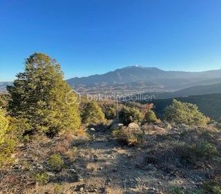  Terrain � vendre 2533 m�