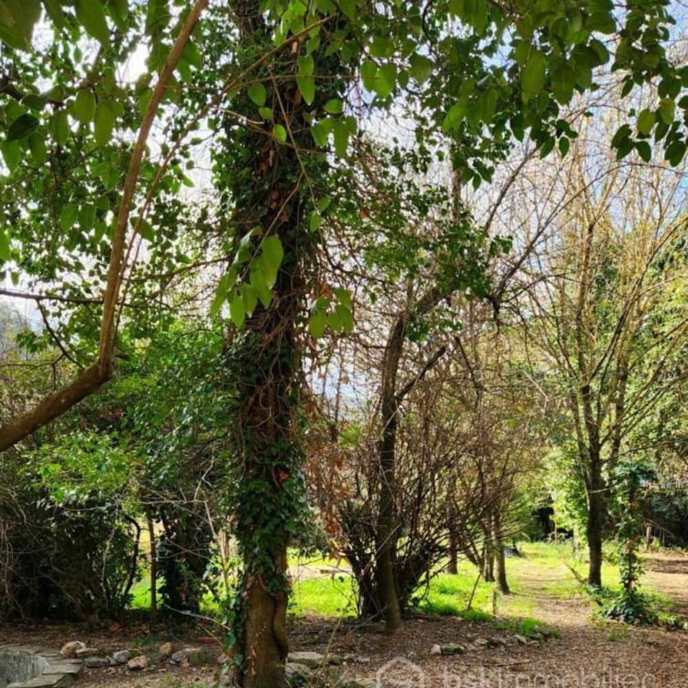 � vendre  Maison Solli�s-Toucas (83210)