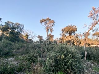  Terrain � vendre 1816 m�