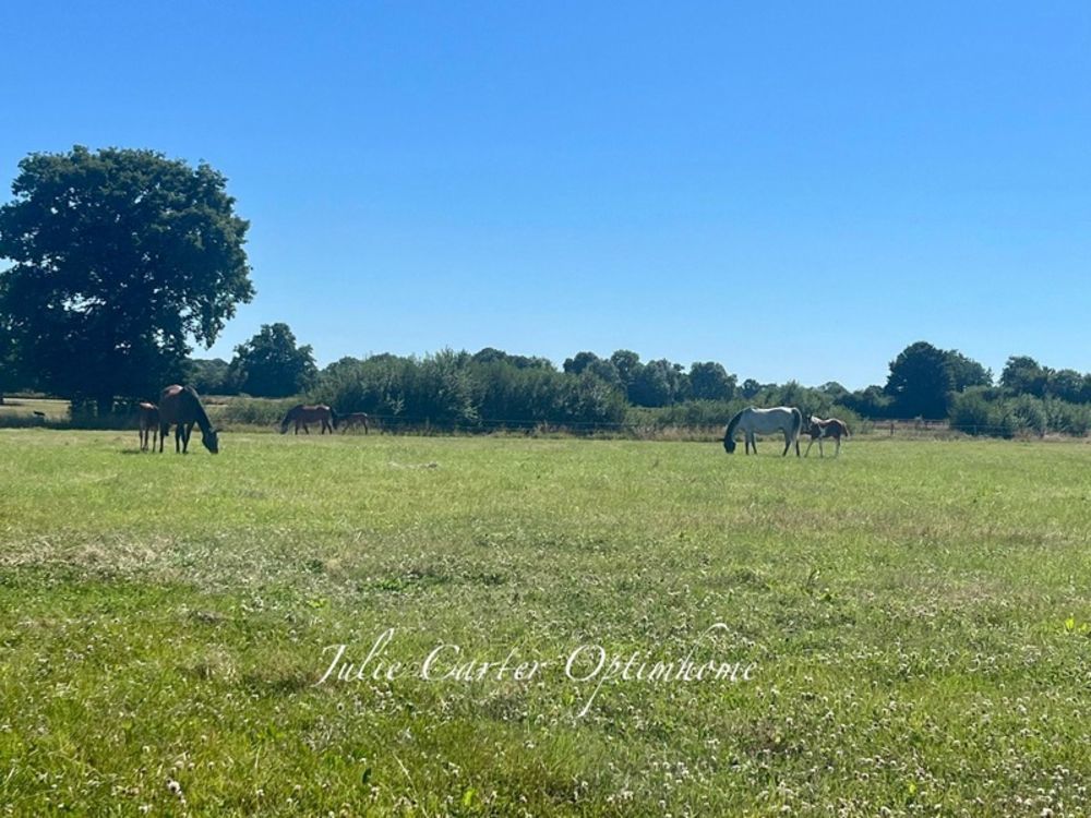 � vendre  Propri�t�/ch�teau Avoine (61150)