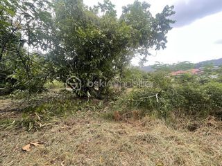  Terrain � vendre 2033 m�