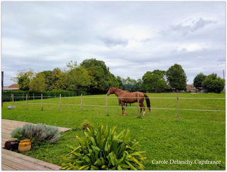  Maison � vendre 3 pi�ces 73 m�