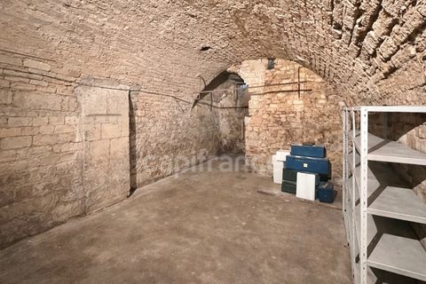 Cave &agrave; louer Montpellier centre-ville 99 34000 Montpellier