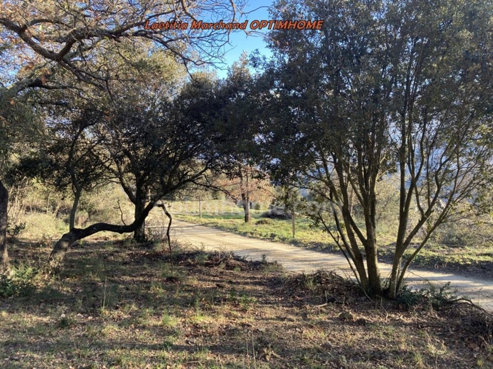 � vendre  Maison Prades (66500)