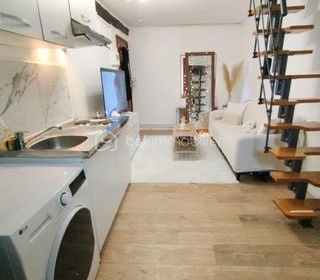  Duplex/triplex � vendre 2 pi�ces 35 m�