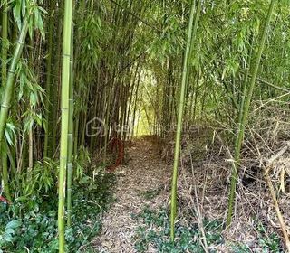  Terrain � vendre 10000 m�