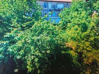  Appartement � vendre 3 pi�ces 55 m�