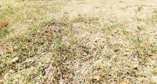  Terrain � vendre 850 m�