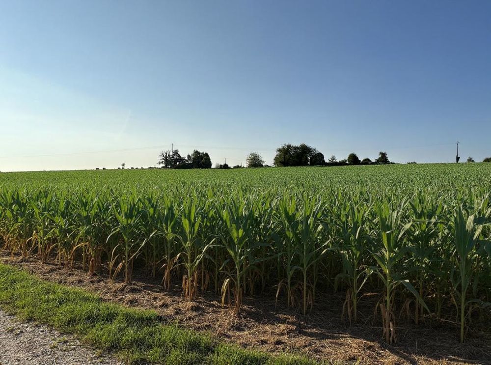 � vendre  Maison Payzac (24270)