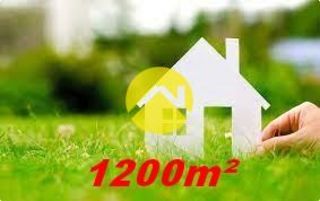  Terrain � vendre 1 pi�ce 1200 m�