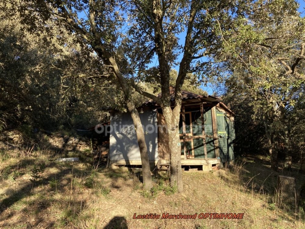 � vendre  Maison Prades (66500)