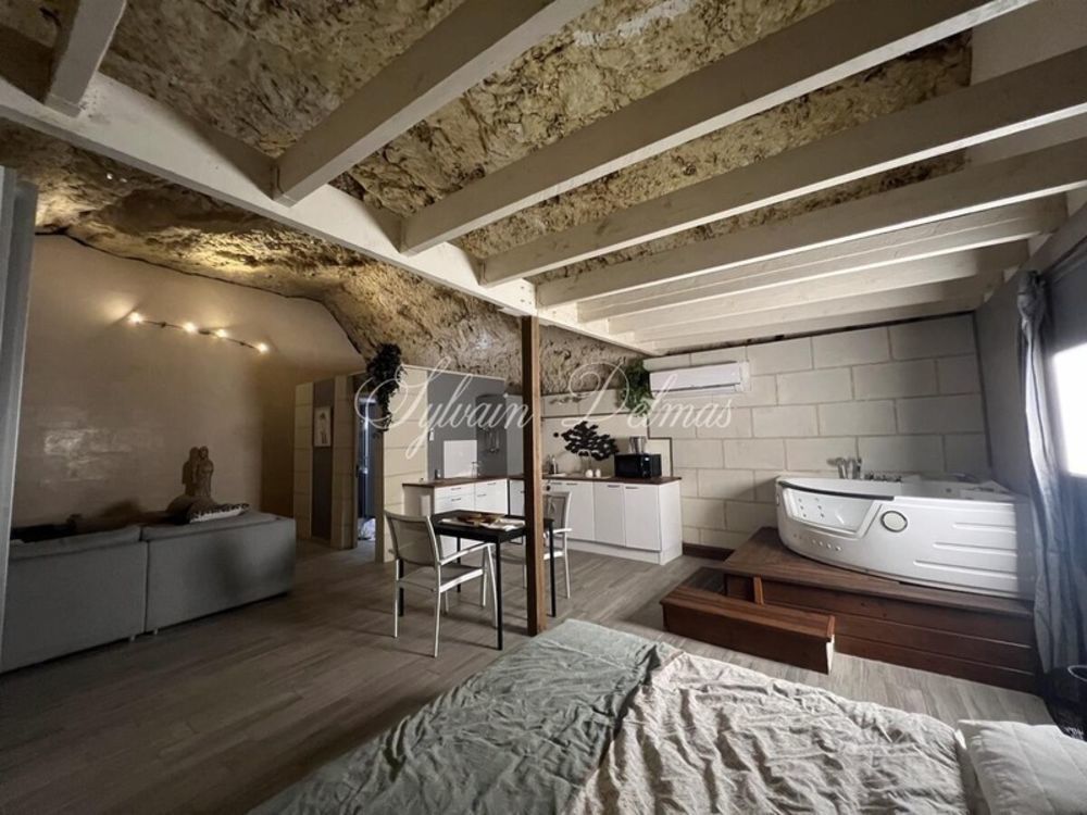 � vendre  Propri�t�/ch�teau Amboise (37400)