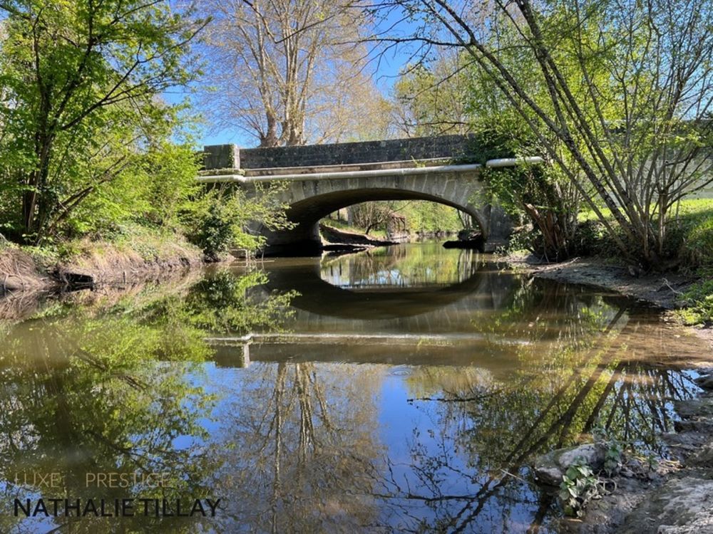 � vendre  Propri�t�/ch�teau Orl�ans (45000)