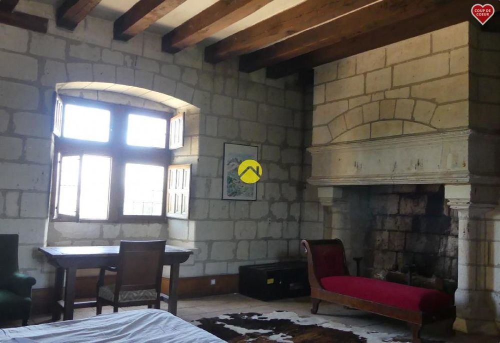 � vendre  Propri�t�/ch�teau Langeais (37130)