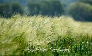  Terrain � vendre 10000 m�