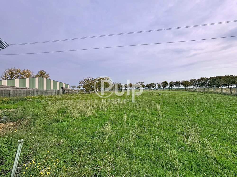 � vendre  Maison Bers�e (59235)