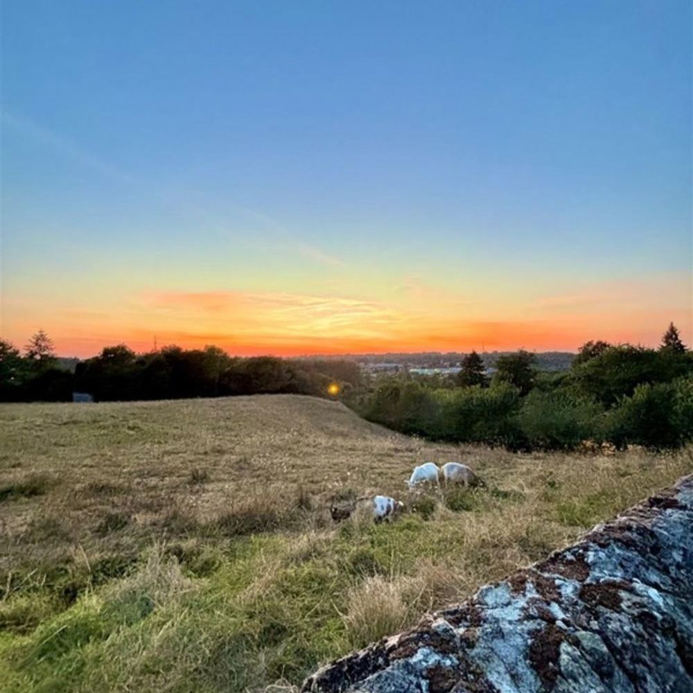 � vendre  Maison Confolens (16500)