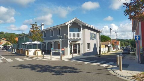 Caf&eacute;/H&ocirc;tel/Restaurant 190000 33680 Lacanau