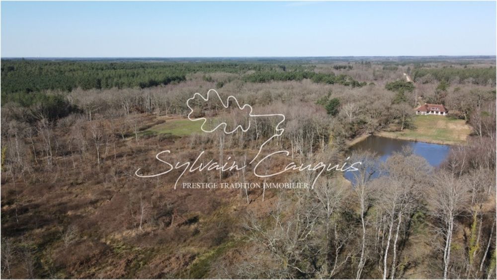 � vendre  Propri�t�/ch�teau Lamotte-Beuvron (41600)