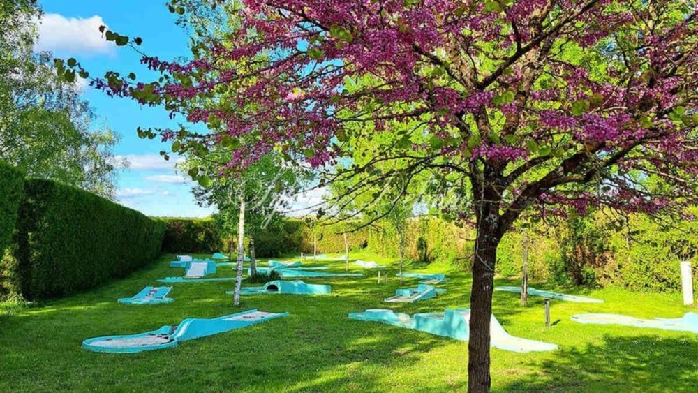 � vendre  Propri�t�/ch�teau Tours (37000)