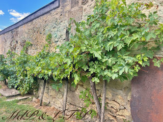  Maison � vendre 10 pi�ces 356 m�