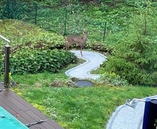  Maison � vendre 7 pi�ces 201 m�