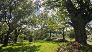  Maison � vendre 6 pi�ces 151 m�