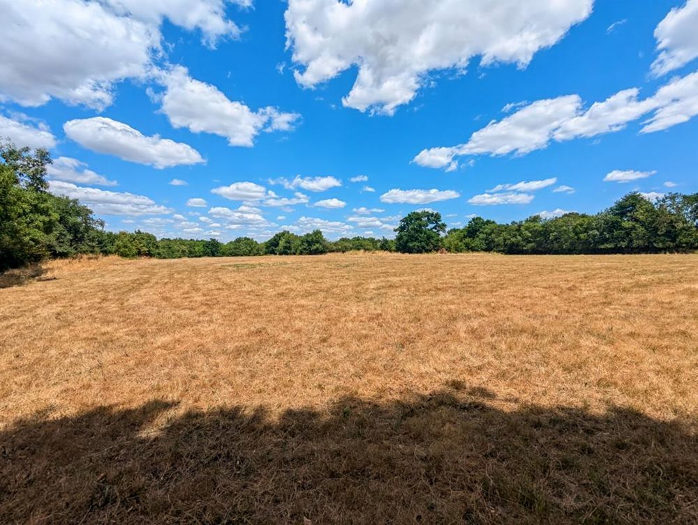 � vendre  Maison Cou�ron (44220)