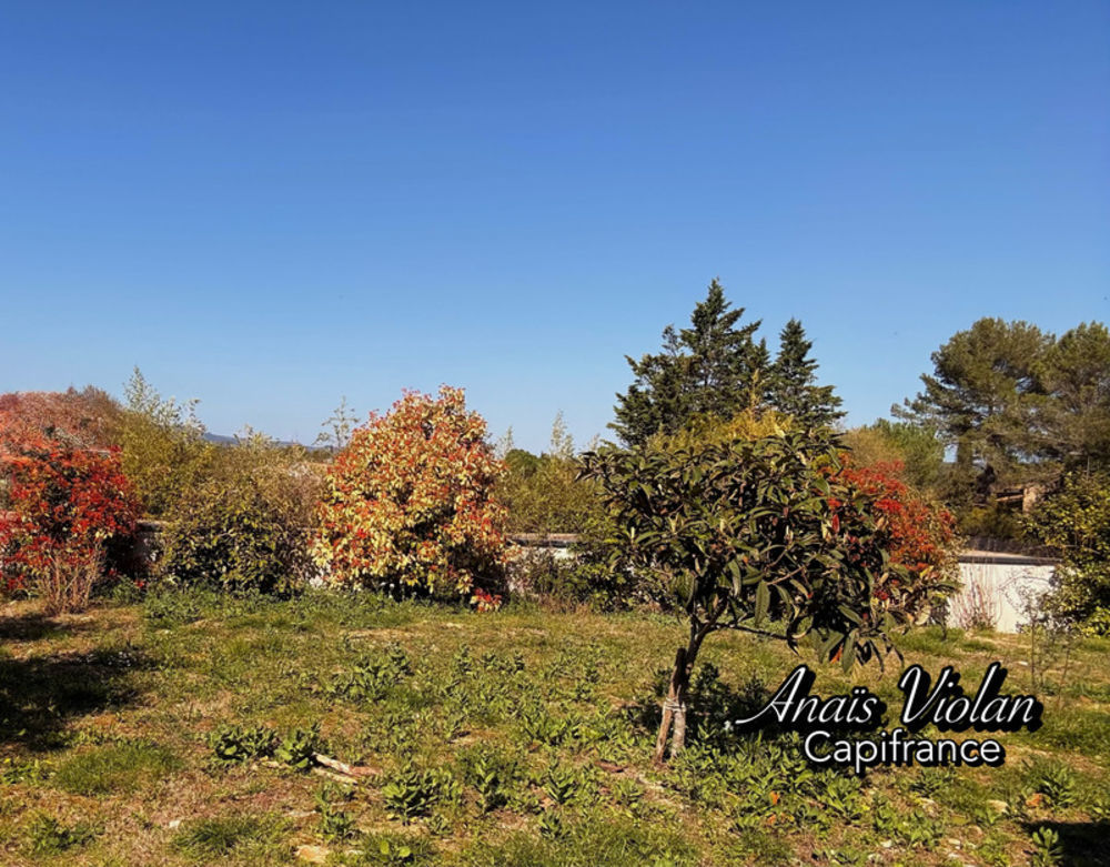 � vendre  Villa Saint-Mathieu-de-Tr�viers (34270)