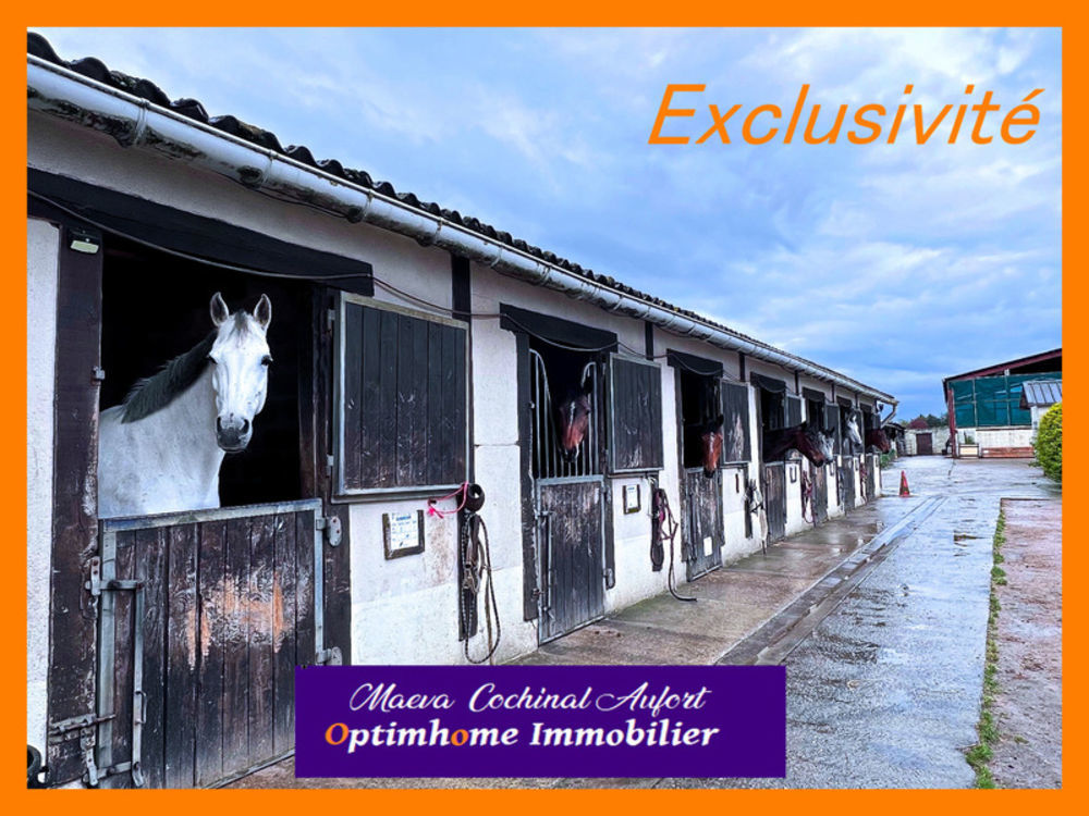 � vendre  Propri�t�/ch�teau Verneuil-sur-Avre (27130)