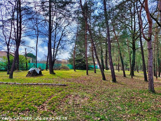  Terrain � vendre 1043 m�