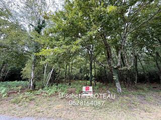  Terrain � vendre 2949 m�