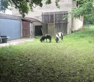  Remise / Grange � vendre 1 pi�ce 280 m�