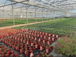  Propri�t�/ch�teau � vendre 4 pi�ces 120 m�