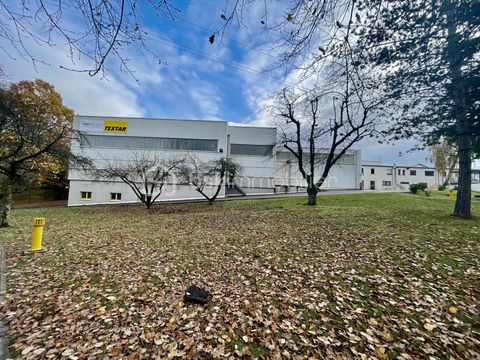 Site Industriel 9000 m2 &agrave; Creutzwald&nbsp;�&nbsp;Fronti&egrave;re Allemande, Terrain 3,5&nbsp;ha S&eacute;curis&eacute; & Proche Axes Autoroutiers 1950000 57150 Creutzwald