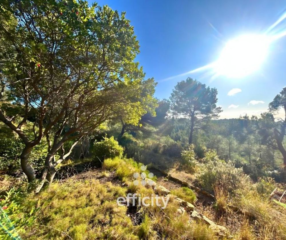 � vendre  Villa Ceyreste (13600)