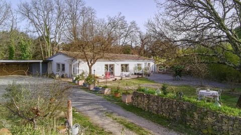   Villa de plain-pied � 222 m� � Terrain 1 542 m� � Sauteyrargues Villa - 6 pi�ce(s) - 222 m�