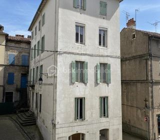  Immeuble � vendre 15 + pi�ces 255 m�