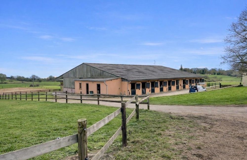 � vendre  Propri�t�/ch�teau Pervench�res (61360)