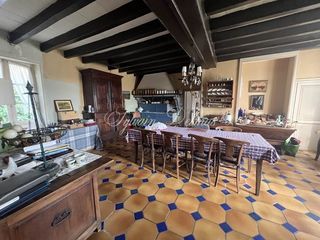  Propri�t�/ch�teau � vendre 15 + pi�ces 600 m�