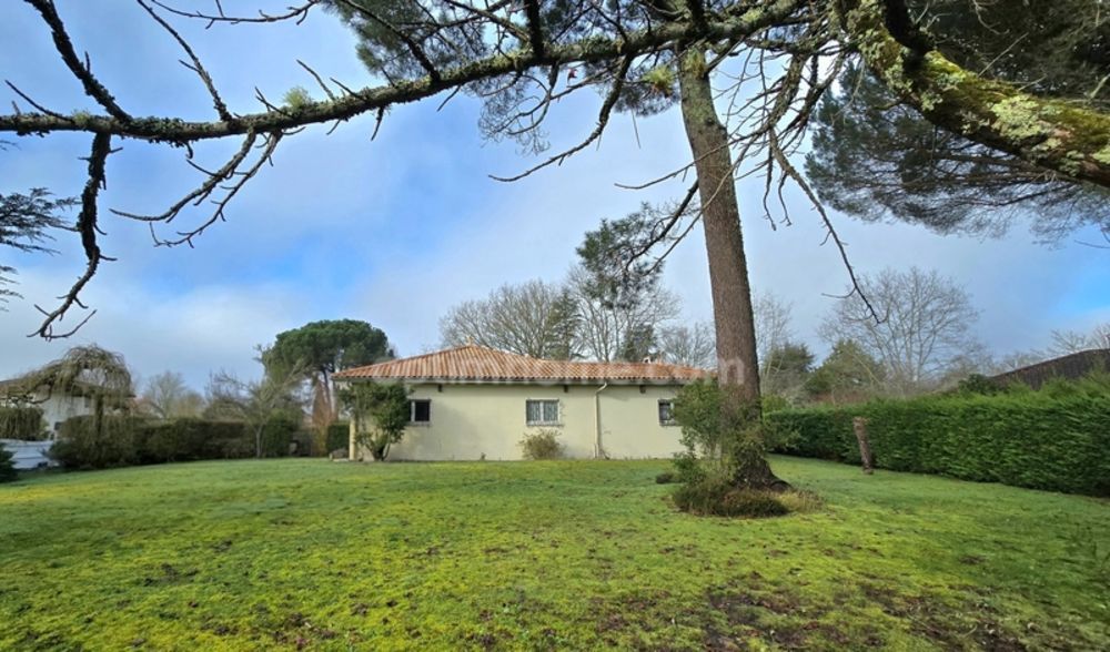 � vendre  Maison Cestas (33610)